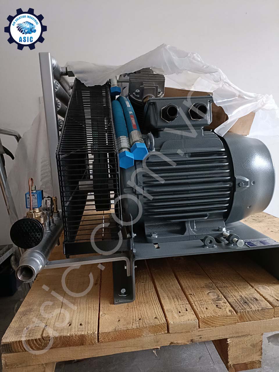 Tin tức