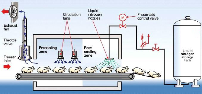 Cấp đông nhanh thực phẩm bằng khí nitơ