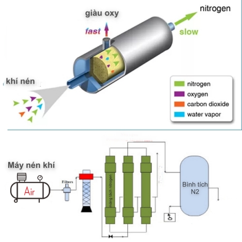 Nguyên lý hoạt động của máy tạo khí nitơ dạng màng