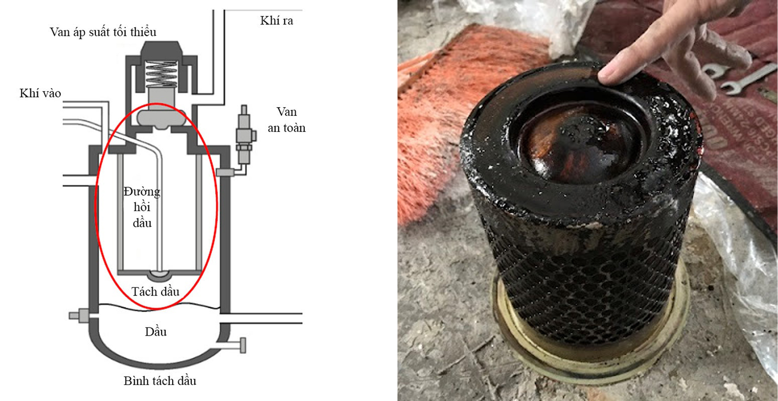 Tách dầu bị hư hoặc sử dụng quá lâu